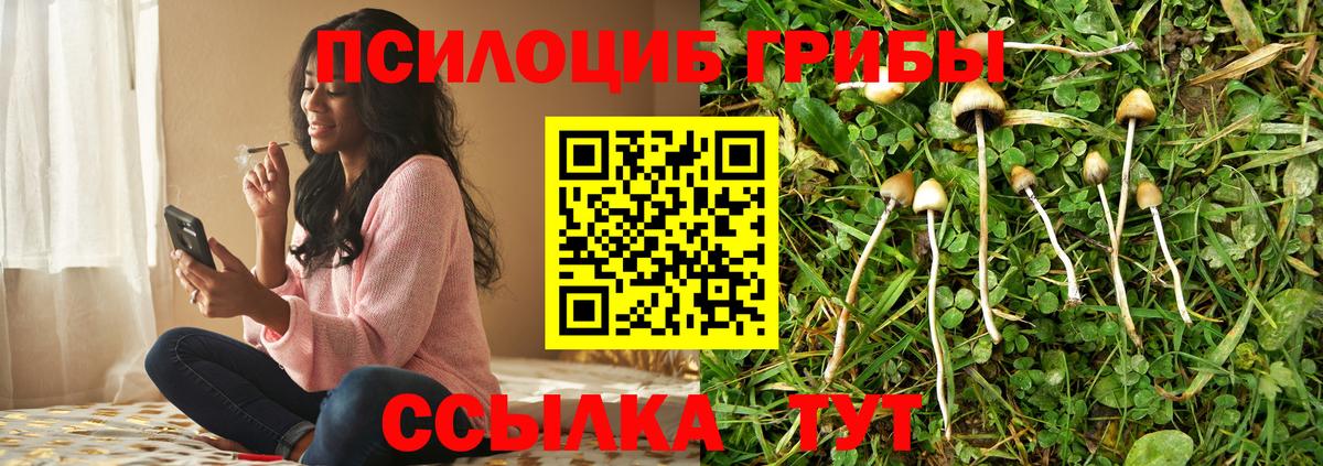 Псилоцибиновые грибы Cubensis  Вход с VPN  Реутов  Галлюциногенные грибы Cubensis 